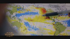 Il Blob: un mostro dalla natura