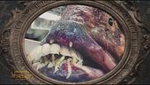 I mostri degli abissi: dalla balena ai pesci abissali