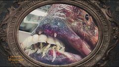 I mostri degli abissi: dalla balena ai pesci abissali