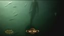 Le sirene: realtà o finzione?