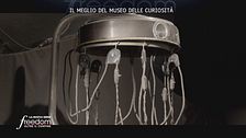 Il meglio del museo delle curiosità