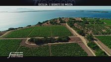 Sicilia: i segreti di Mozia