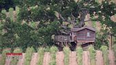 Una vacanza respirando gli alberi