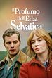 Trailer - Il profumo dell'erba selvatica