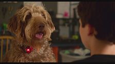 Trailer - Henry, ti presento Oliver