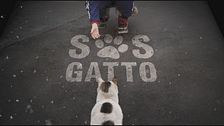 Trailer - Sos gatto