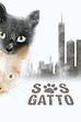 Trailer - Sos gatto