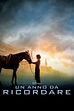 Trailer - Un anno da ricordare