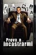 Trailer - Prova a incastrarmi