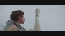 Trailer - Storm boy - Il ragazzo che sapeva volare