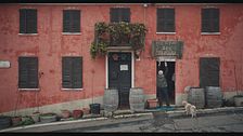 Trailer - The truffle hunters - Cacciatori di tartufi