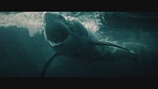 Trailer - 47 metri - Great white