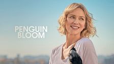 Penguin Bloom