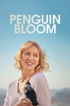 Penguin Bloom