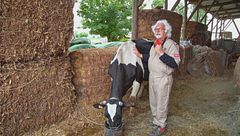 Nerina, tanto carina, ma...