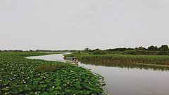 La bellezza e lo spirito del Mincio