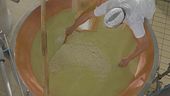 Qual'è la parentela fra Grana Padano e Trentingrana?