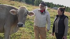 La vita in una malga
