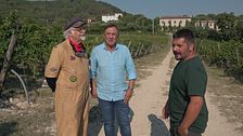 Colli Euganei, Filò delle Vigne