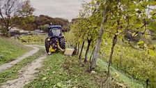 Colli Asolani, Patrizio visita la Tenuta Amadio