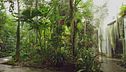 L'orto botanico di Padova