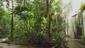 L'orto botanico di Padova