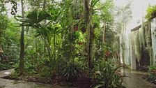 L'orto botanico di Padova