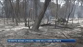 Incendi a Pescara, i danni delle fiamme in pineta