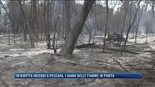 Incendi a Pescara, i danni delle fiamme in pineta