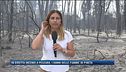 In diretta incendi a Pescara, i danni delle fiamme in pineta