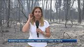 In diretta incendi a Pescara, i danni delle fiamme in pineta