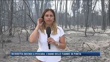 In diretta incendi a Pescara, i danni delle fiamme in pineta