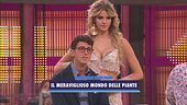 Il meraviglioso mondo delle piante