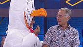 Le domande dello sponsor: il gallo