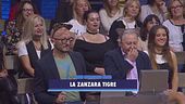 La zanzara tigre