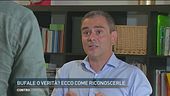 Bufale o verità? Ecco come riconoscerle