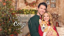 Un Natale da Corgi