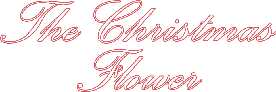The Christmas flower - Film Mediaset Infinity