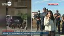 Virginia Raggi: "Il controllo dei cinghiali è competenza regionale"