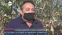 La storia di Maurizio, forestale