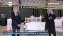 Campionato cavallo puro egiziano