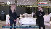 Campionato cavallo puro egiziano