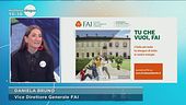 Il Fai e la cura dei beni artistici