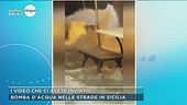 A Mattino 5 i video che ci avete inviato