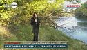 Verona, bimbe uccise dalla mamma