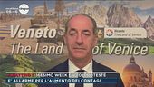 In diretta il presidente della regione Veneto Luca Zaia