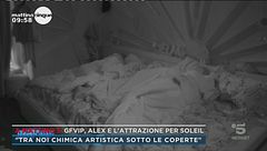 GfVip, Alex e l'attrazione per Soleil
