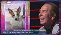 GfVip, Giucas incontra la cagnolina Nina