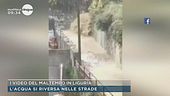 I video del maltempo in Liguria