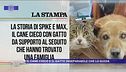 8 settembre: la good news del giorno